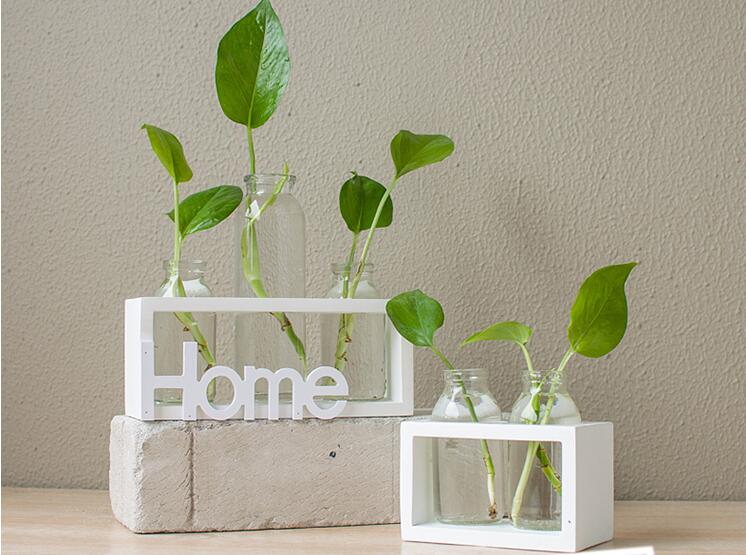 NovaHydro — Transparent Glass Hydroponic Vase