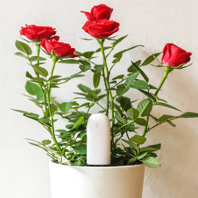 NovaGrow — Plant Monitor
