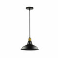 Metal Ceiling Pendant Light LED Modern Lamp Shade Hanging Lamp ~5870