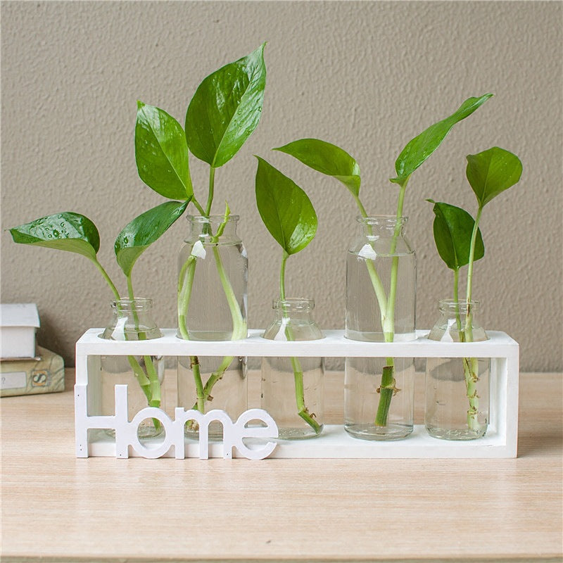 NovaHydro — Transparent Glass Hydroponic Vase