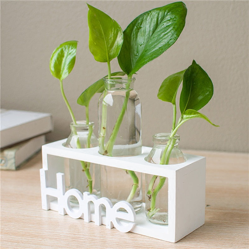 NovaHydro — Transparent Glass Hydroponic Vase