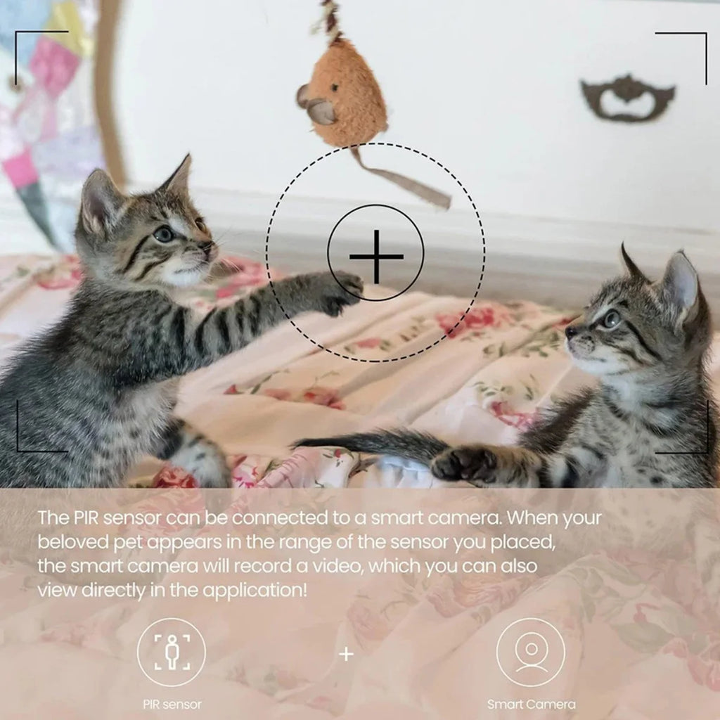 SenseCageMotion — Smart Sensor