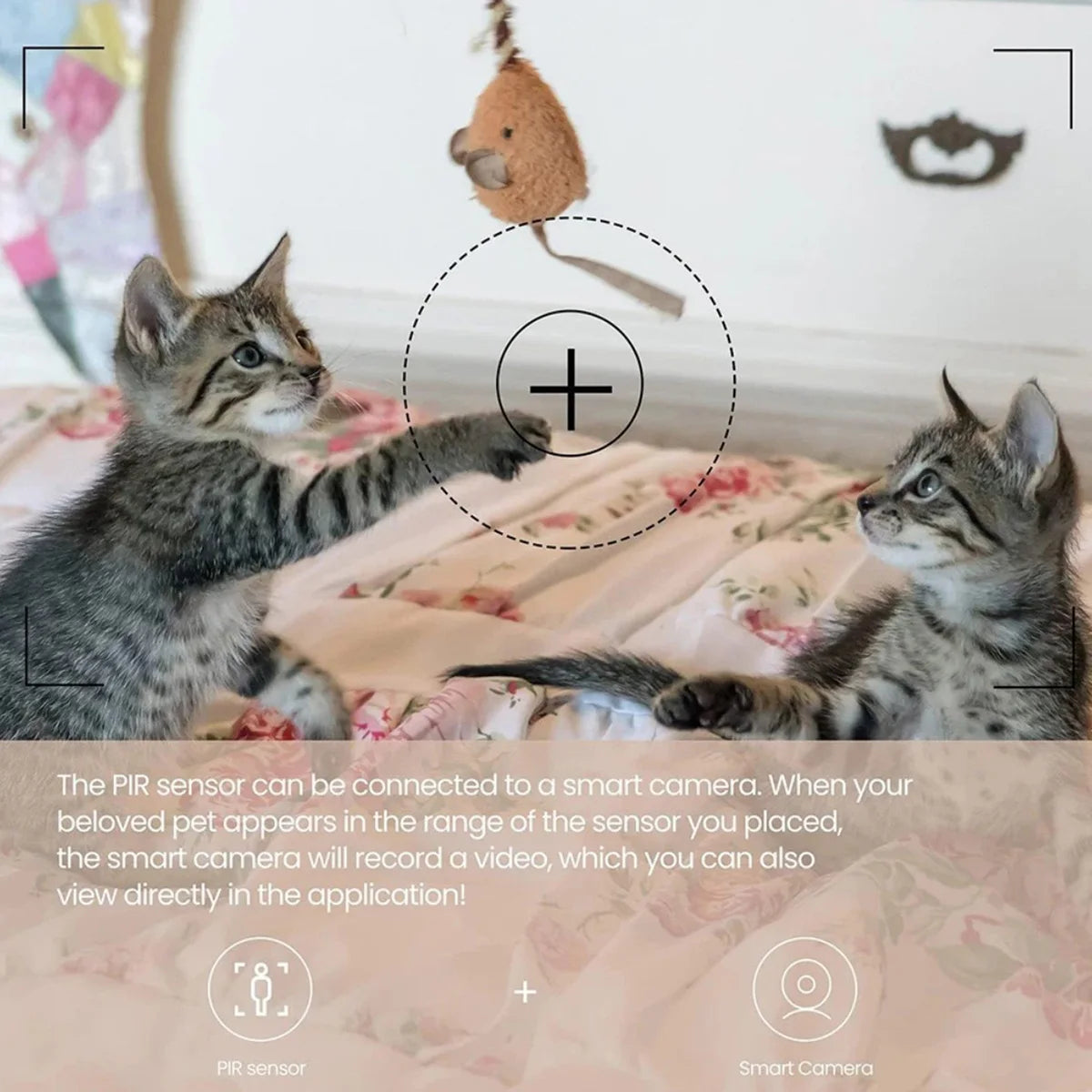SenseCageMotion — Smart Sensor