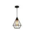 Industrial Metal E27 Bulb Guard Wire Cage Ceiling Pendant Light~5654
