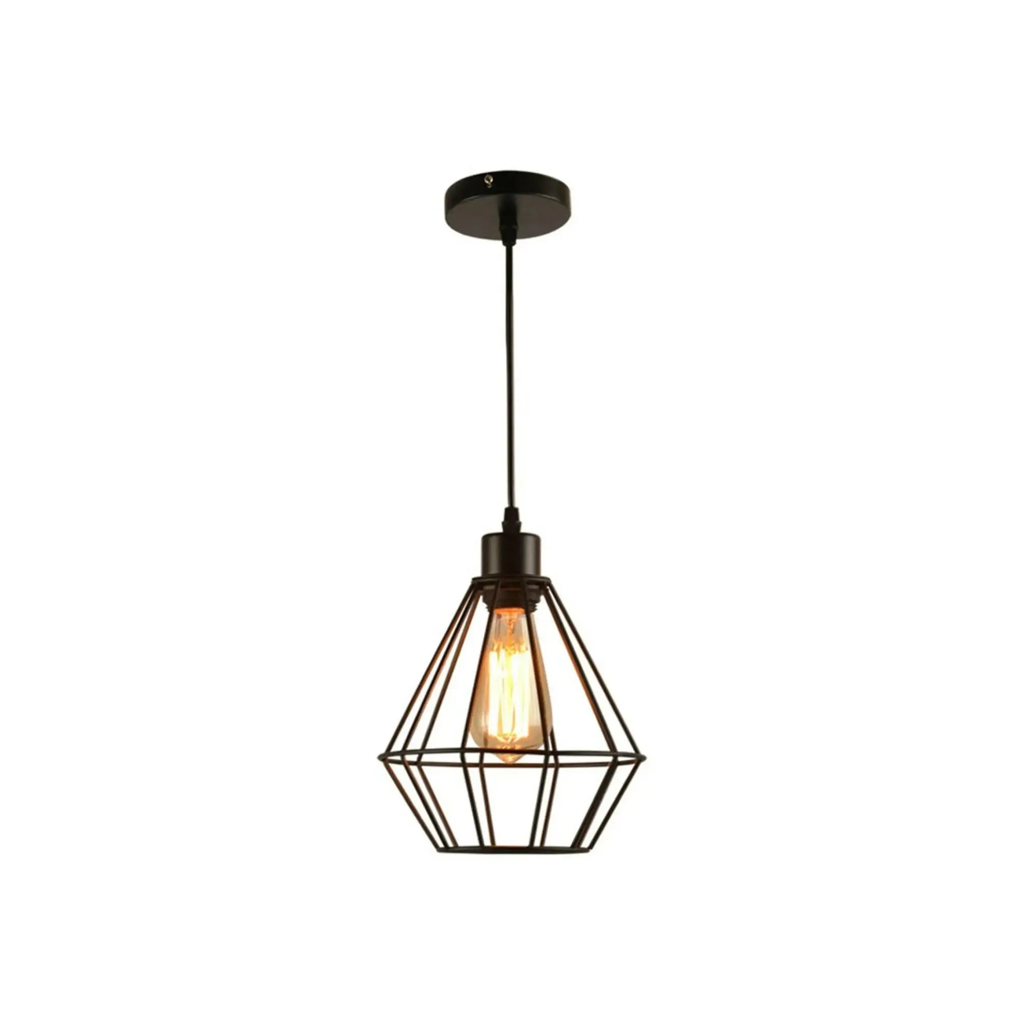 Industrial Metal E27 Bulb Guard Wire Cage Ceiling Pendant Light~5654