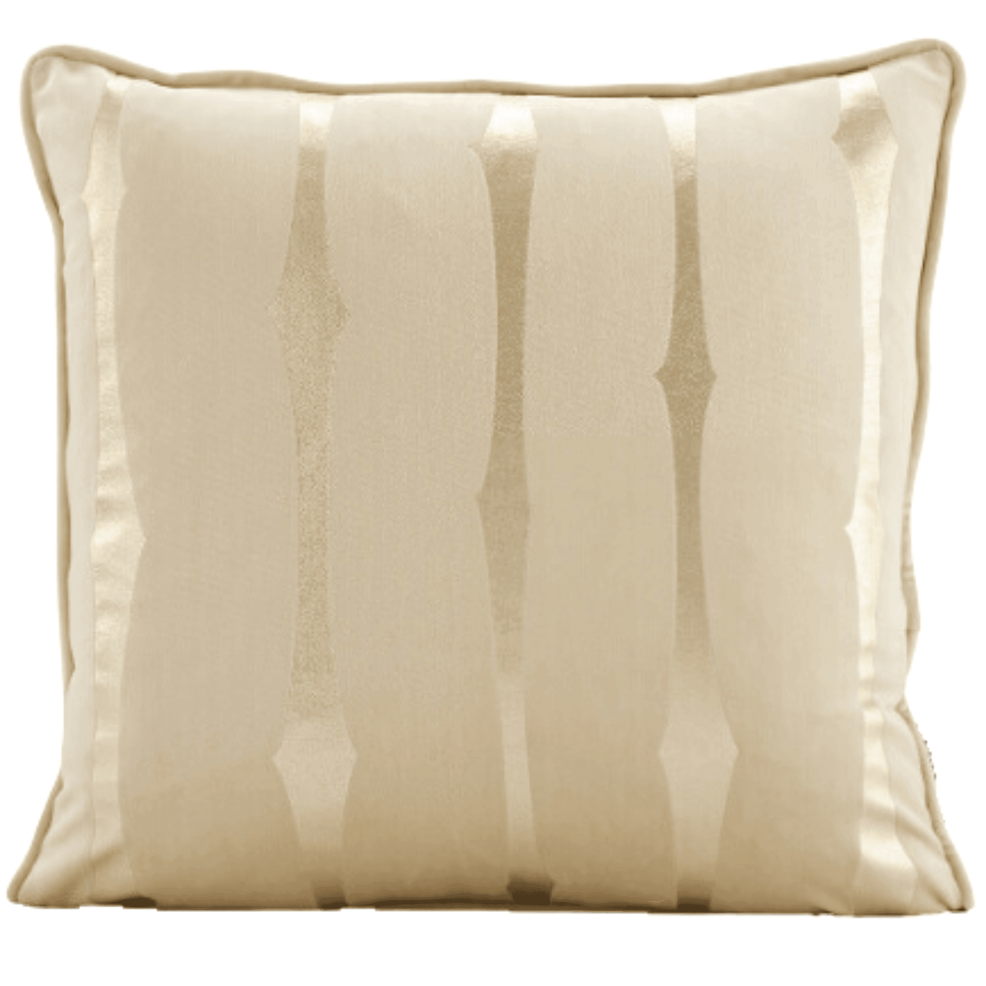 Velvet Cushion Cover with Gold Stamping - Same Pattern Both Sides (Design 1)-0