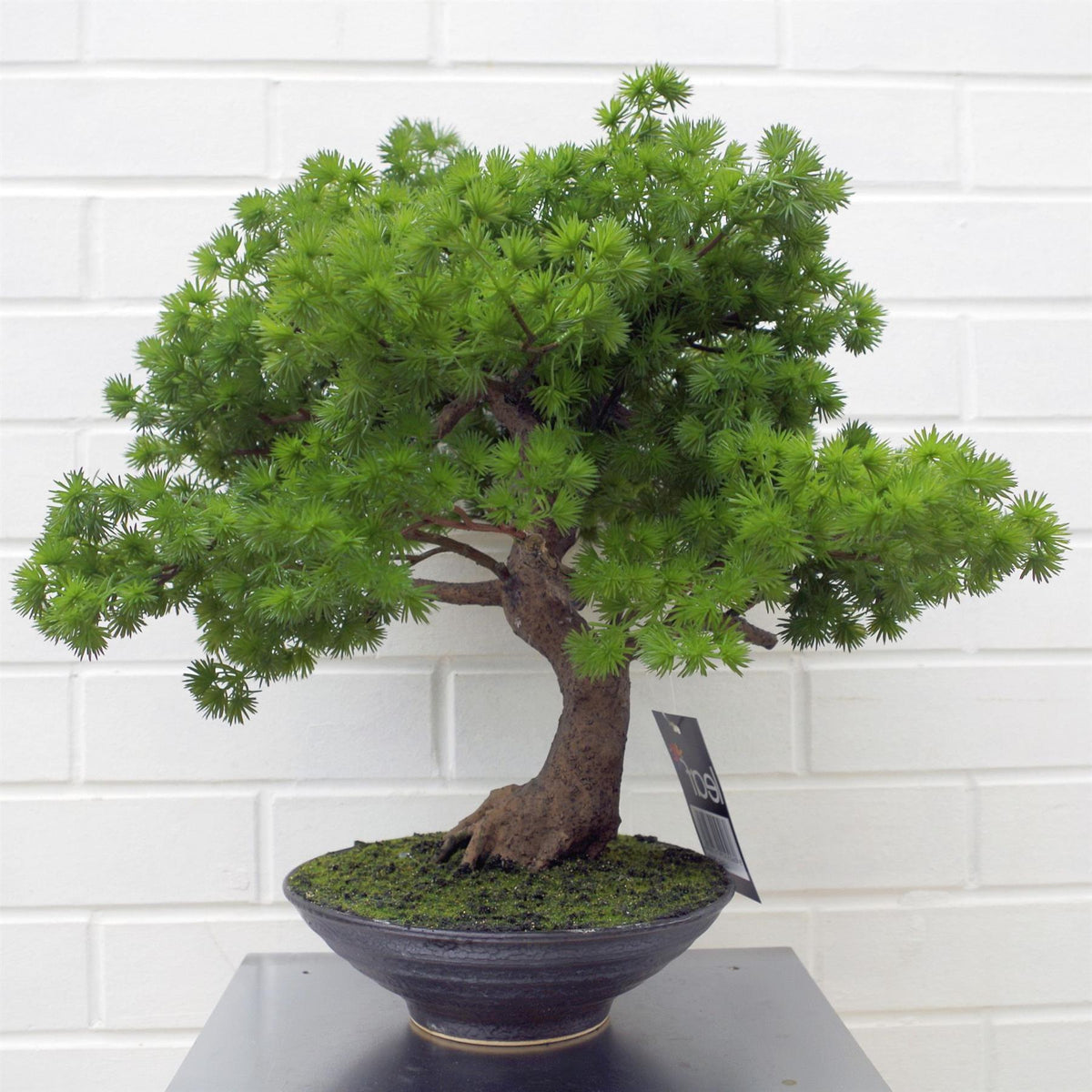 Artificial Bonsai Tree 50cm Luxury Pine Desktop Plants-0