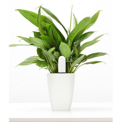 NovaGrow — Plant Monitor