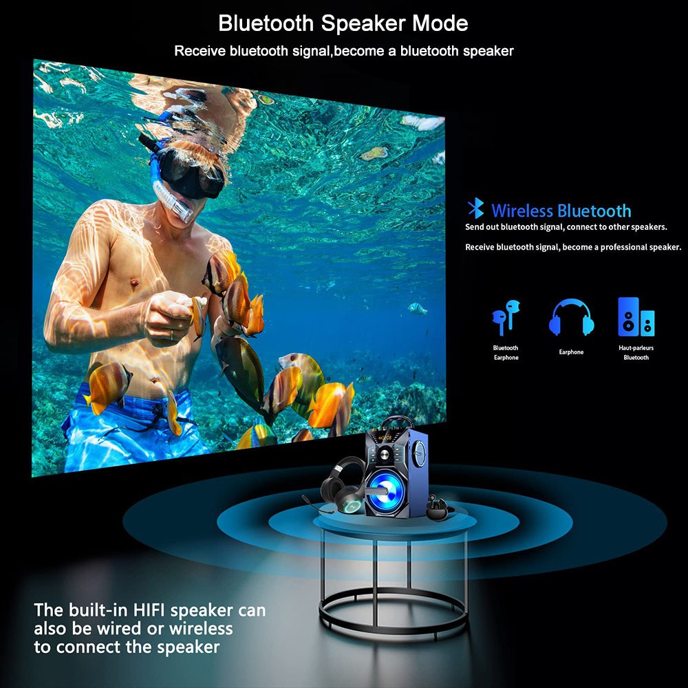 NovaProjectPro — Projector