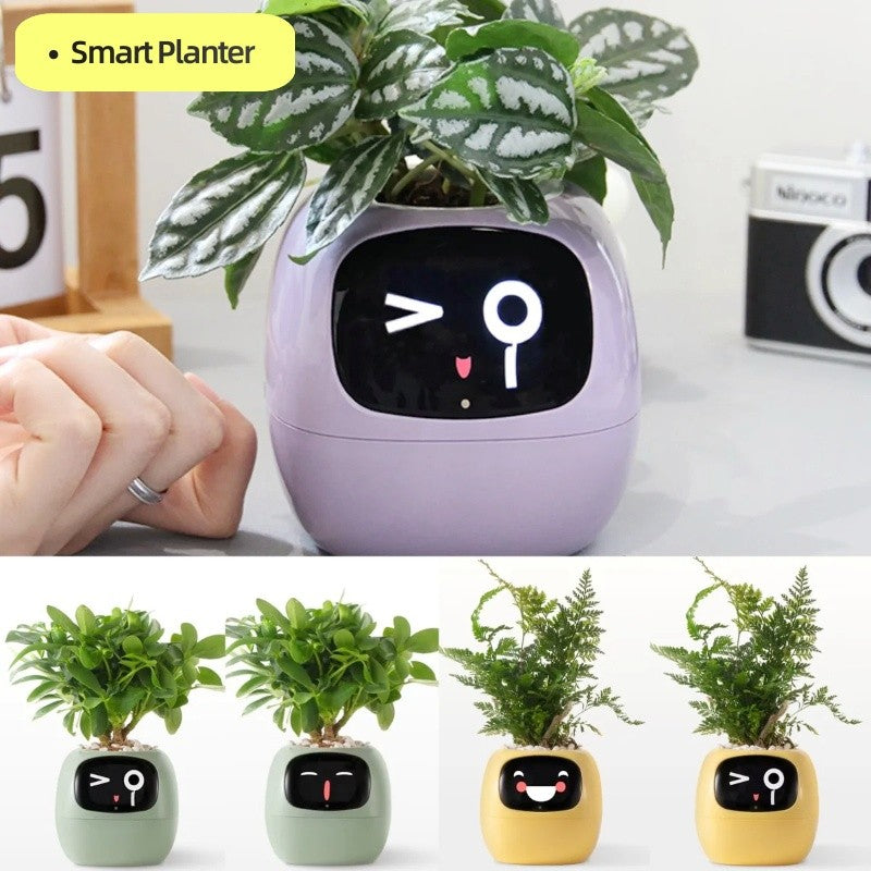 NovaGrowPot — Planter