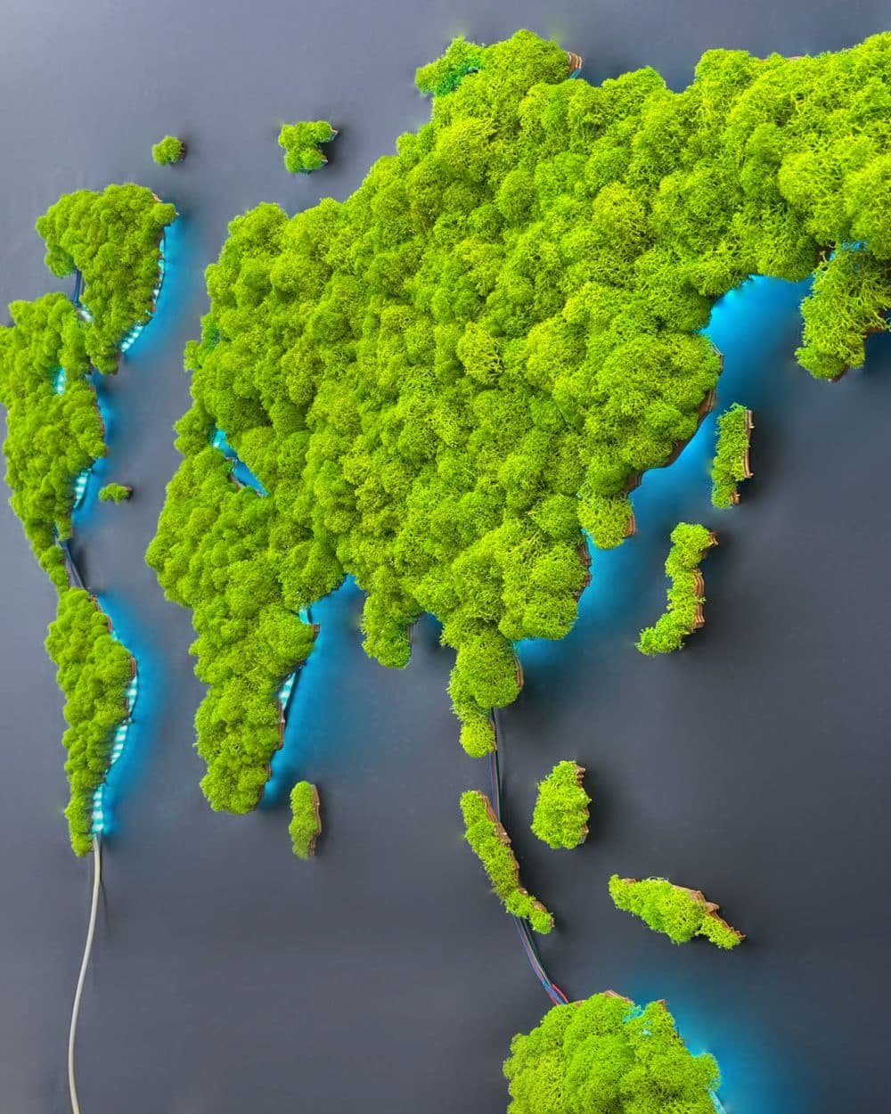 Illuminated map of the world made of mossy weed-1
