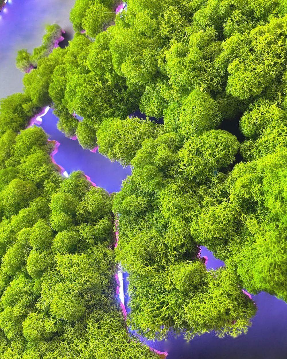 Illuminated map of the world made of mossy weed-2