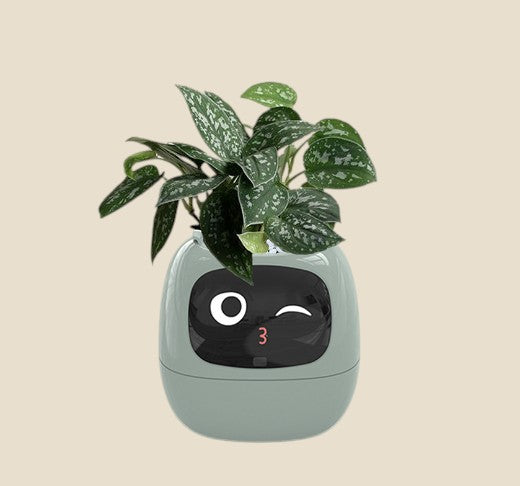 NovaPulse NovaGrow smart planter with self-watering system and digital smiley-face display