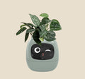NovaPulse NovaGrow smart planter with self-watering system and digital smiley-face display