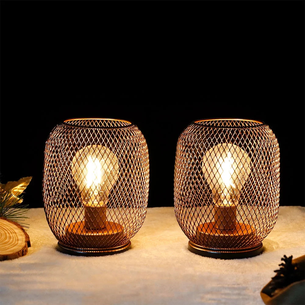 Set of 2 Battery Operated Lamp LED Table Lantern-Egg Shape-0
